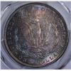 Image 3 : 1887 MORGAN DOLLAR PCGS MS63