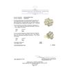 Image 5 : 2.00 ctw Diamond Ring - 10KT Yellow Gold