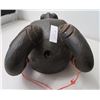Image 2 : African Buffalo Wood Mask