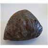 Image 9 : 5 Chinese Artifacts