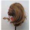 Image 4 : Shrunken Head Reproduction w/Stand
