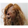 Image 3 : Shrunken Head Reproduction w/Stand