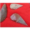 Image 4 : Projectile Points