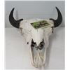 Image 2 : Old Bull Buffalo Skull