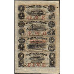 Uncut Sheet of 1857 Western Exchange Fire & Marine Insurance Co. Obsolete Notes