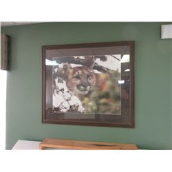 Cougar Picture 29 x 33 framed