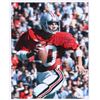 Image 1 : Art Schlichter Signed Ohio State 16x20 Photo (Radtke Hologram)