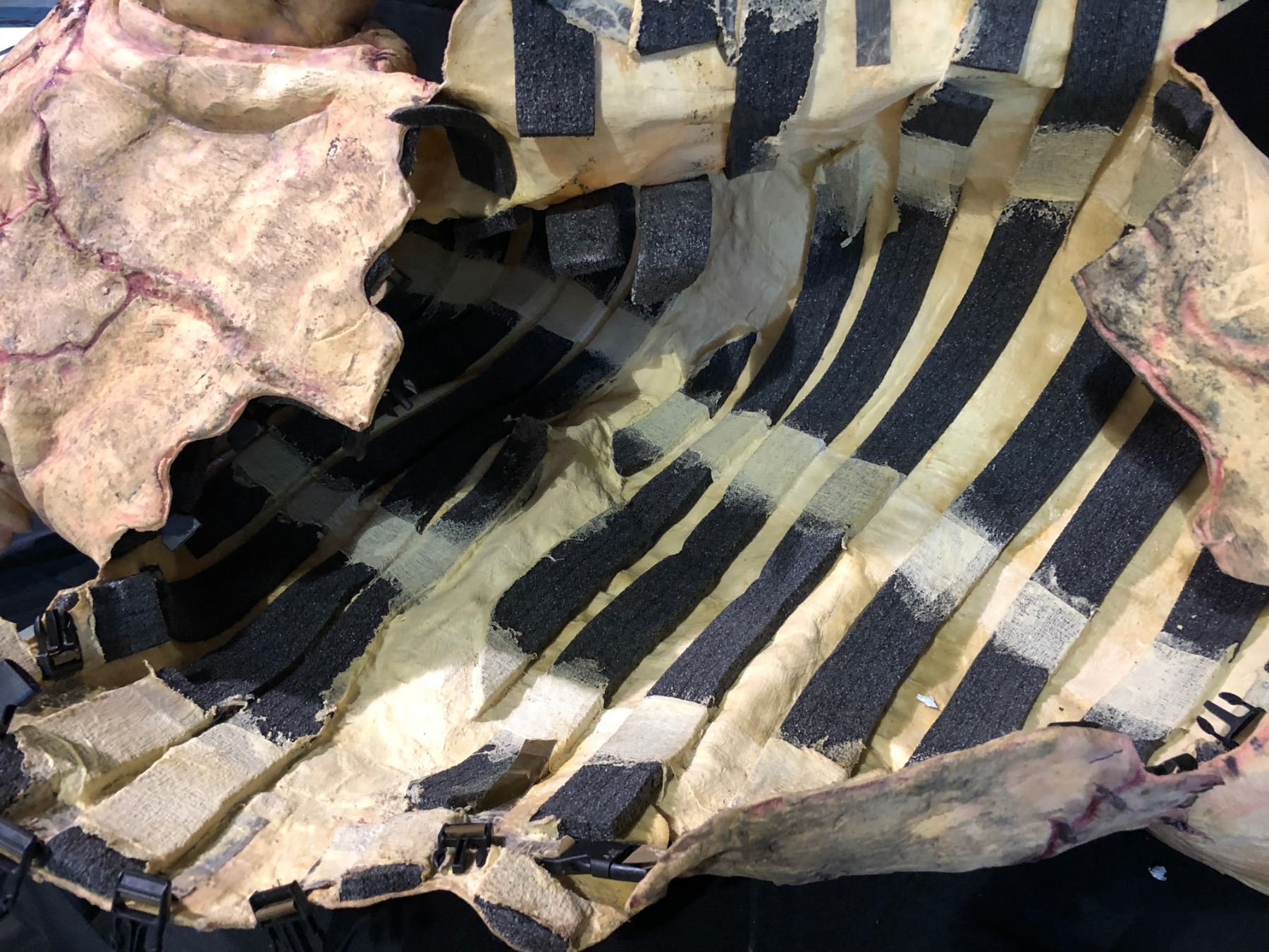 Tusk (2014) - Justin Long Screen Used Hero Walrus Costume Appliance