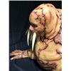 Image 9 : Tusk (2014) - Justin Long Complete Walrus Study Model