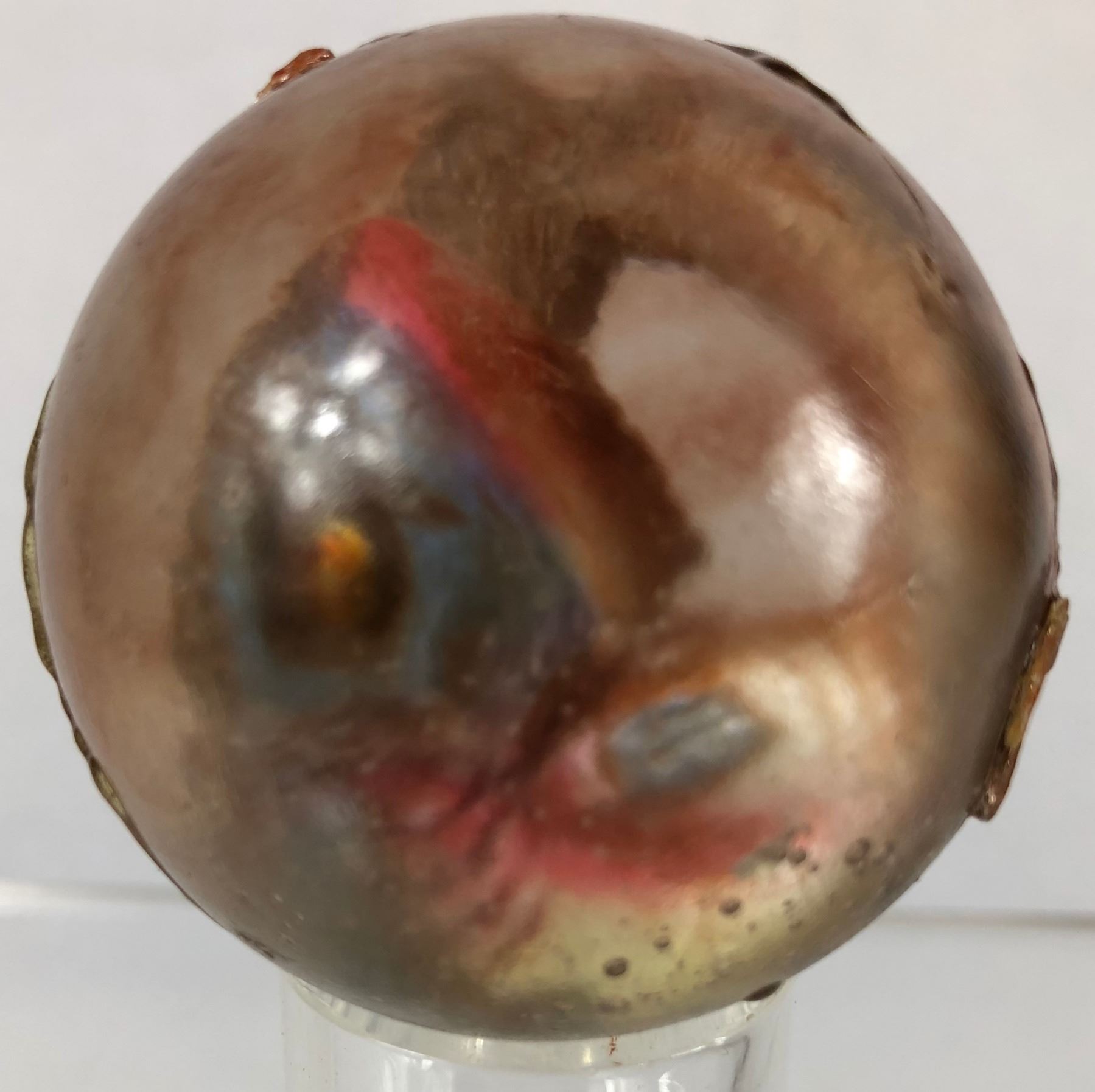 Piranha 3dd 2012 Prop Piranha Egg