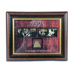 Fantastic Beasts and Where to Find Them (2016) - Prop Chip From "The Blind Pig" in Custom Display