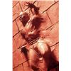 Image 1 : Wishmaster (1997) - Peasant Sucked Into Wall Concept Artwork