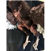 Image 3 : The Rage (2007) - Screen Used Full Size Vulture