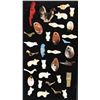 Image 1 : Collection of Carved Shell Beads and Fetishes