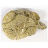 Image 4 : 2 Native American Zuni Carved Stone Fetishes