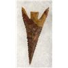 Image 2 : Oregon Barbed Gempoint Arrowhead