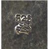 Image 3 : 4 Native American Necklaces and 1 Pair of Earrings