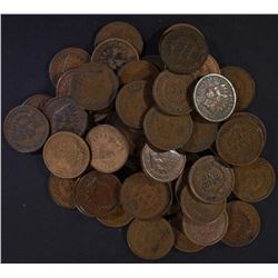 58-AVE CIRC 1905 INDIAN CENTS