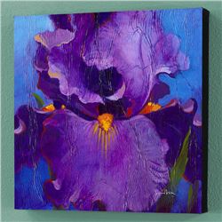 Dancer by Bull, Simon