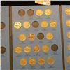 Image 3 : Partial Set of 44 different circulated Buffalo Nickels 1913-1938 in a blue Whitman folder.