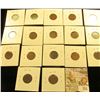 Image 3 : 17 Carded And Dated Indian Head Cents