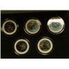 Image 2 : 1172 _ 2002 Colorized Statehood Five-Piece Quarter Set in a fancy holder and special box. Each coin 