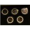Image 2 : 1174 _ 2004 Colorized Statehood Five-Piece Quarter Set in a fancy holder and special box. Each coin 