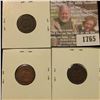 Image 2 : 1765 _ (3) 1884 Indian Head Cents. VG-8.