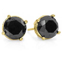 2.0 CTW VS Certified Black Diamond Solitaire Stud Earrings 14K Yellow Gold - REF-58X2T - 14123