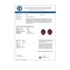 Image 3 : 7 CTW Garnet Designer Inspired Solitaire Stud Earrings 14K Rose Gold - REF-27X6T - 21662