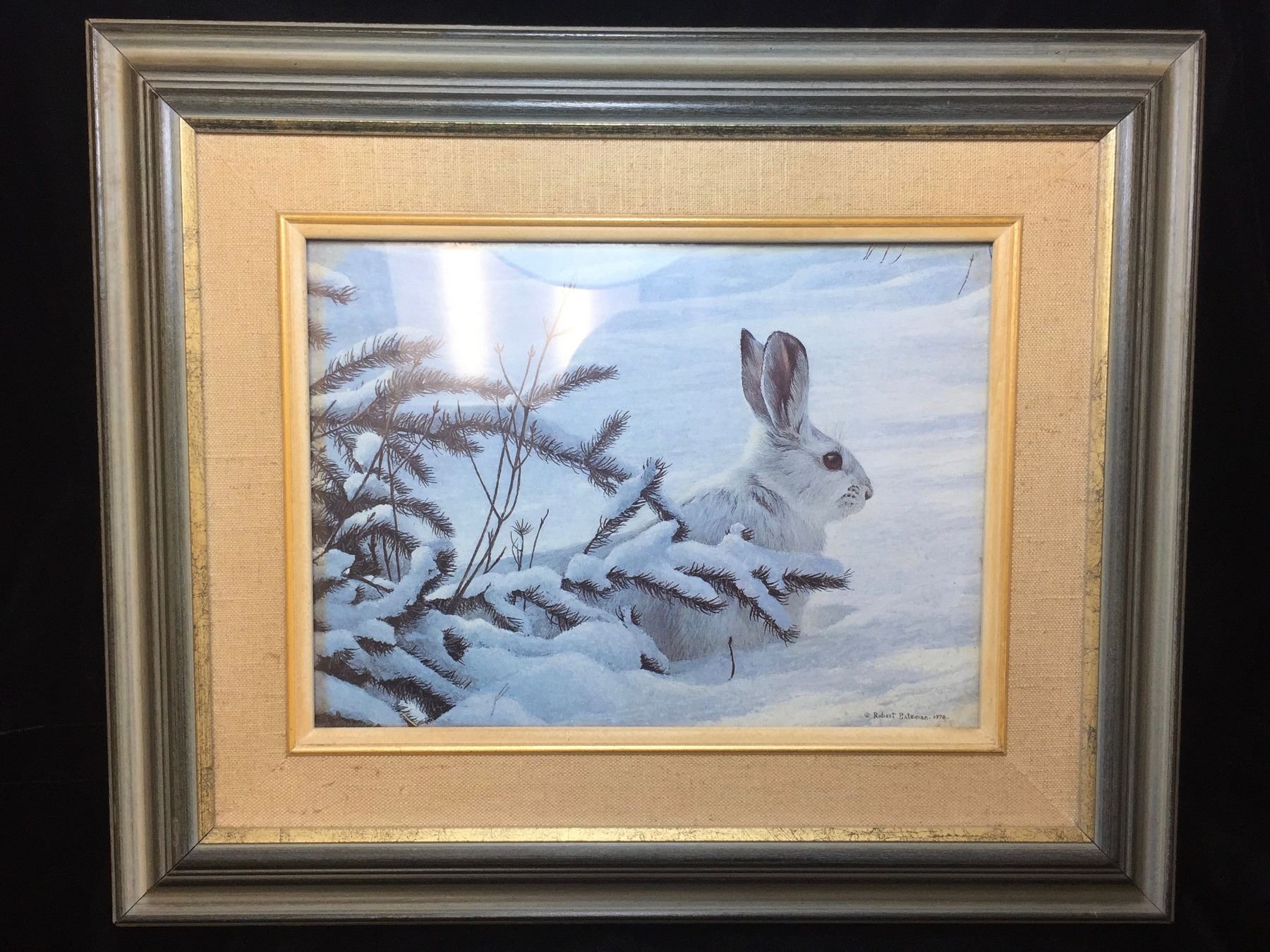 Robert Bateman 1978 White Rabbit Picture