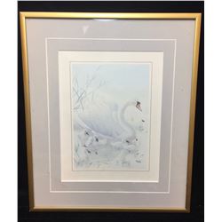 Swan Family by Glen Loates