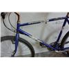 Image 2 : BLUE SPECIALIZED BIKE
