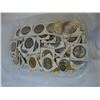 Image 1 : TRAY OF COLLECTIBLE COINS