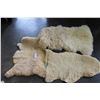 Image 1 : 3 SHEEP SKIN RUGS AND PILLOW