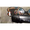 Image 2 : DRAGON DESIGN ROCKING SKATEBOARD AND STEREO