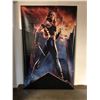 Image 1 : ELEKTRA VINYL MOVIE DISPLAY BANNER (60" X 72")