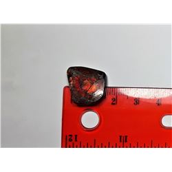 4)  RED FIRE AMMOLITE GEMSTONE