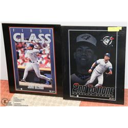 SET  OF 2 BLUE JAYS PICTURES