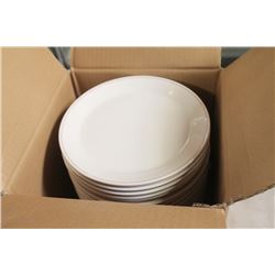 CASE OF NEW ROUND PLATES- 24 PER CASE