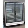 Image 1 : LARGE 2 DOOR FREEZER