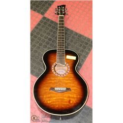 JAY TURSER ACOUSTIC GUITAR