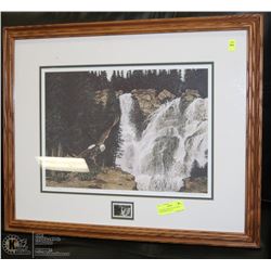 NUMBERED PRINT BY M. VISSER "NESTWARD BOUND"