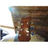 Image 2 : Beaver Creek electric guitar 6 string Model BCJB07CE w/case