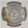 Image 4 : 1884-O $1 Morgan Silver Dollar Coin NGC MS64