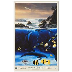 Dolphin Harmony by Wyland