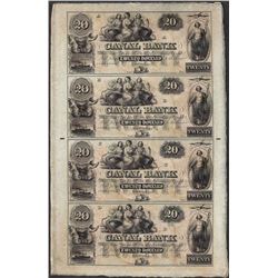Uncut Sheet of 1800's $20 Canal Bank Obsolete Notes