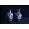 Image 1 : A Pair of Two Middle 20th Century Small Cloisonne Enamel "Floral and Bird" Meiping
