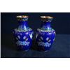 Image 3 : A Pair of Two Middle 20th Century Small Cloisonne Enamel "Floral and Bird" Meiping
