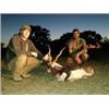 Image 4 : 3 Day White Tail Deer and Exotic Hunt in Texas